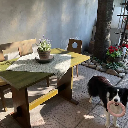Garden House 度假居
